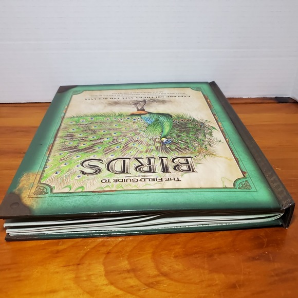 The Field Guide to Birds: Explore Southern Asia and Oceania (No Diorama) Book - Picture 12 of 14